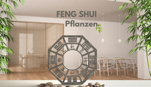Feng Shui und Pflanzen, die Wohlstand bringen