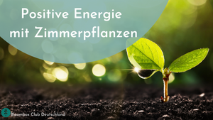 Pflanzen & positive Energie