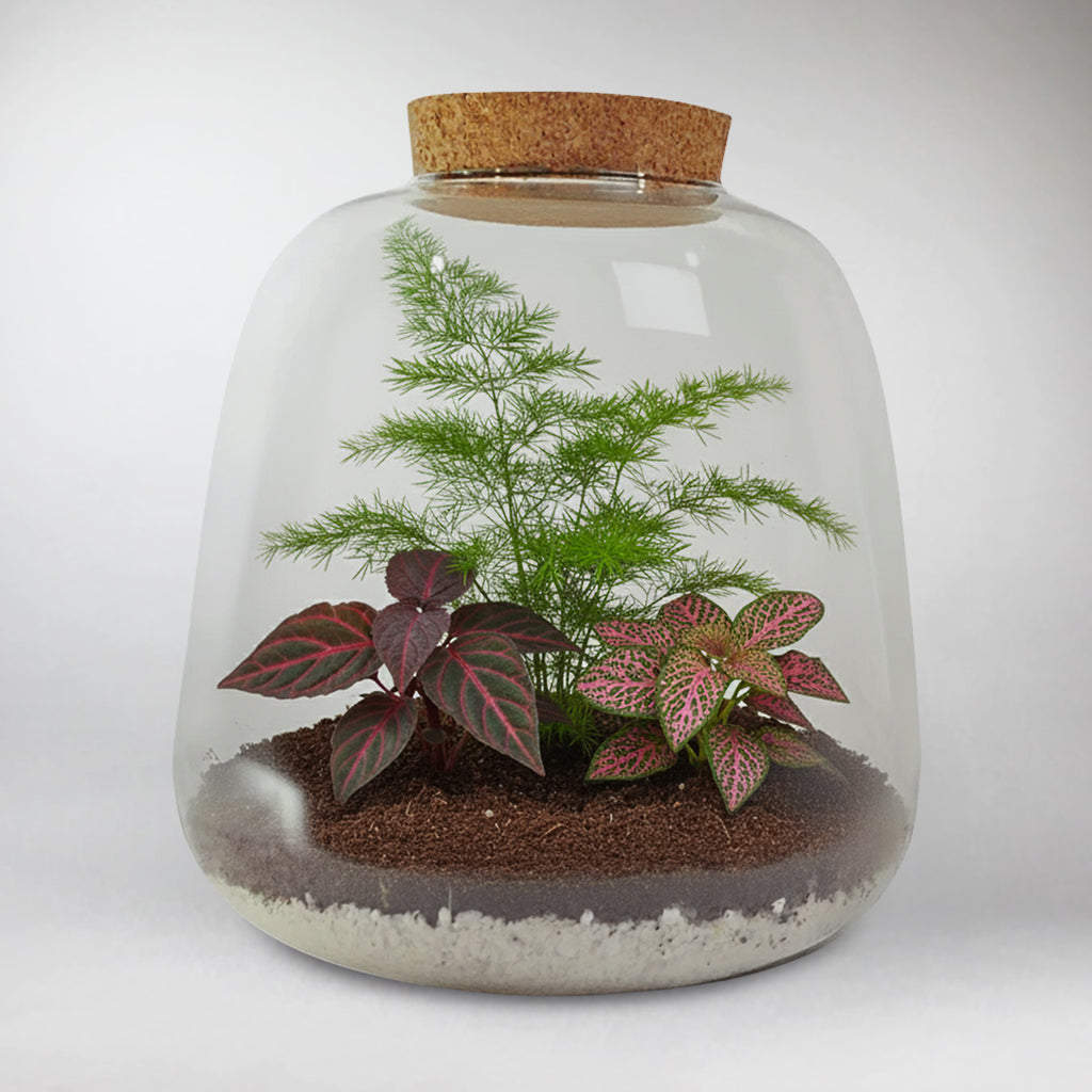 Christmas Terrarium DIY Kit