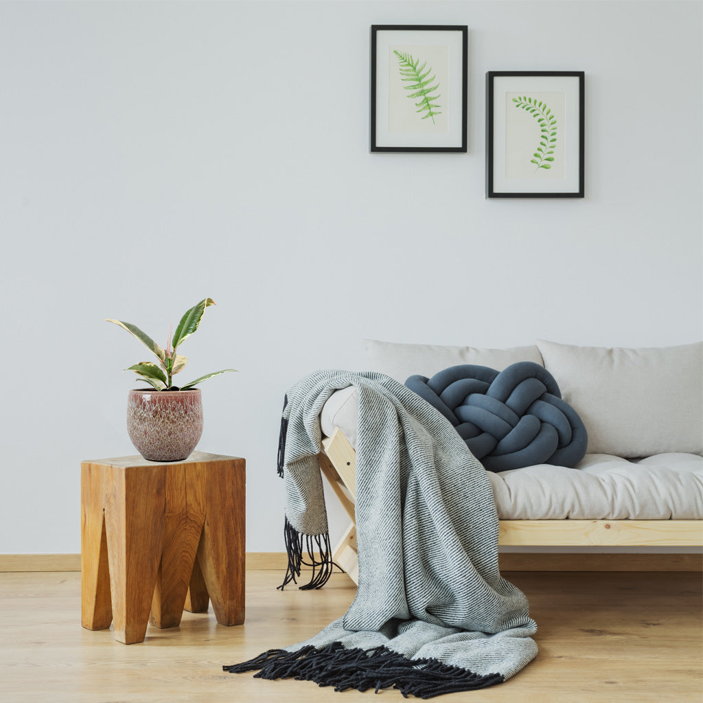Ficus Tineke Gummipflanze, 30-40cm – Luftreinigend, Pflegeleicht, Perfekt Für Drinnen